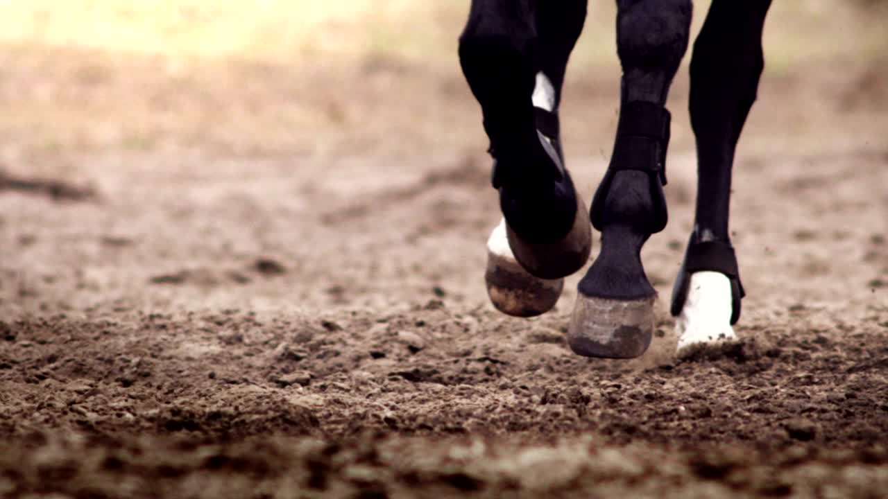 CHARLIE SAMPSON RODEO